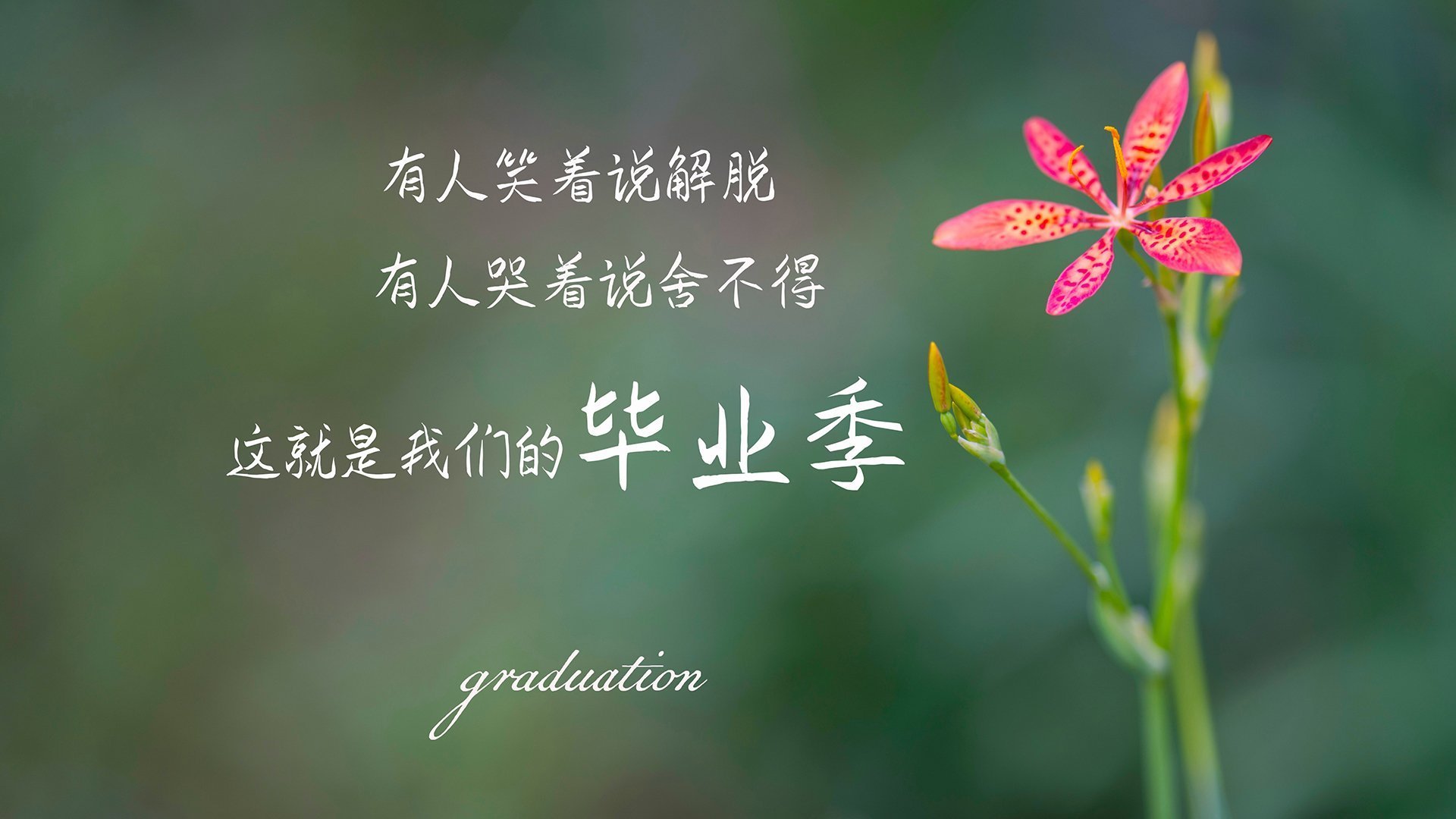 _从业余到职业：普通爱好者的网球成长记_，网球职业运动员 培养方式