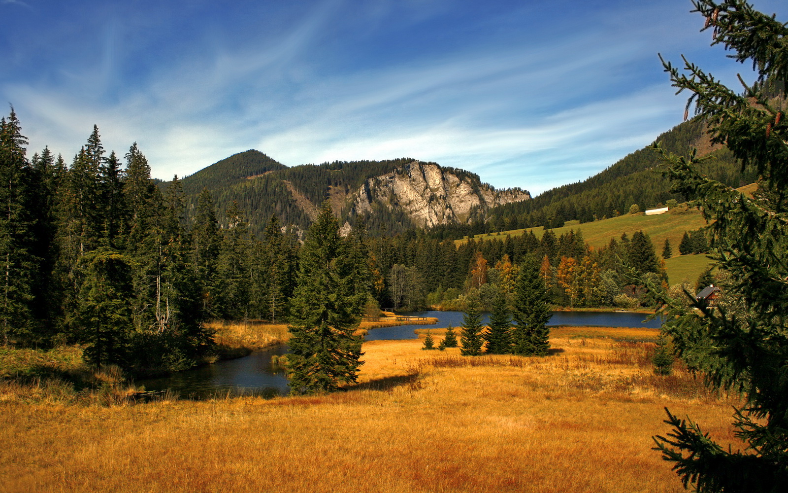 互动问答:网友最关心的问题现场解答,互动问答平台