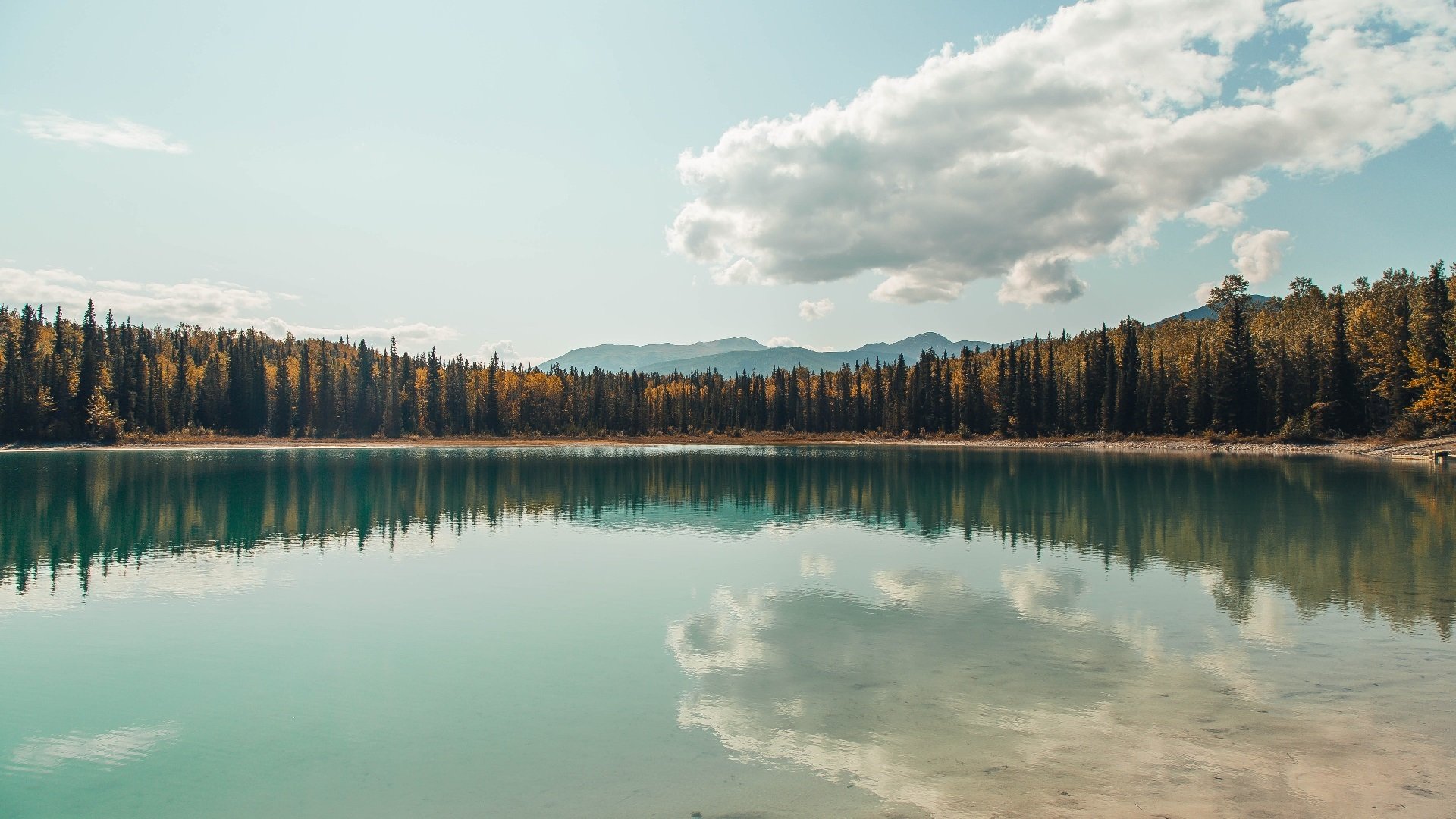 “青春筑梦”青少年篮球文化研讨会在广州成功举办,推动行业交流