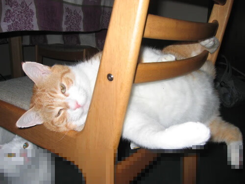 《【揭秘】职业选手训练背后:科学化、系统化的秘密》