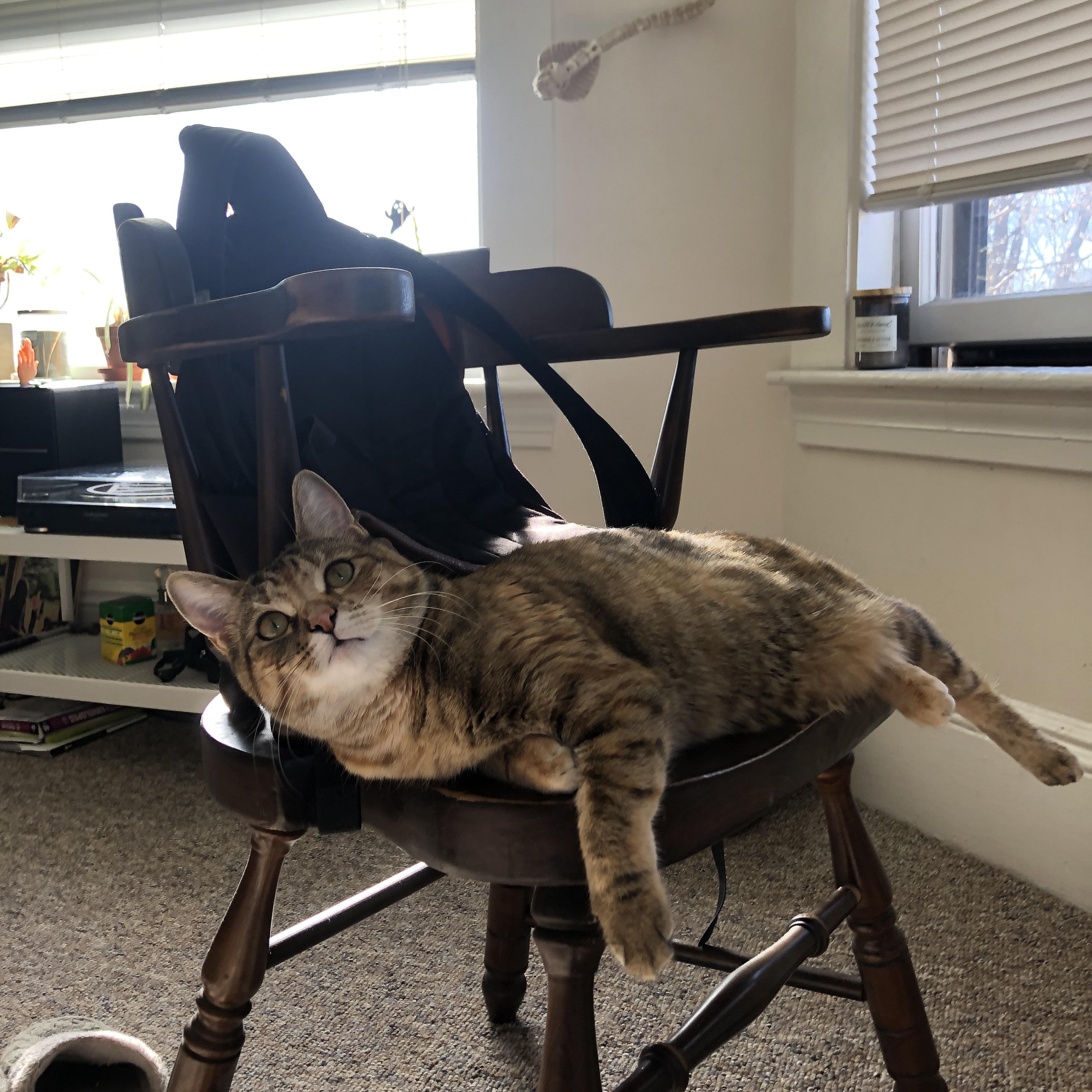 中国男篮备战亚洲杯，热身赛表现亮眼，中国男篮2021亚洲区预选赛