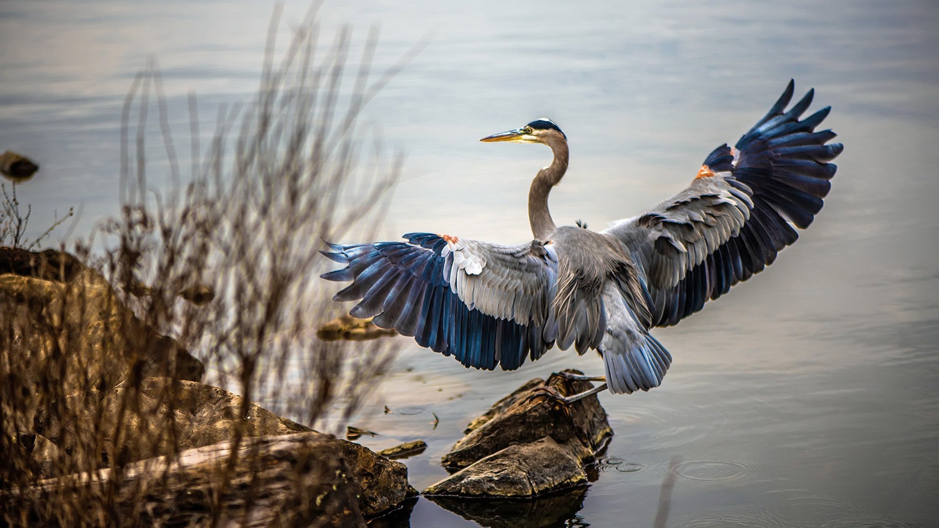 开发瑜伽智能穿戴设备,提升练习体验,智能瑜伽机器人